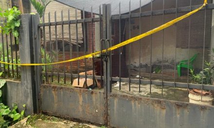 Asisten Rumah Tangga dan Keamanan Masyarakat