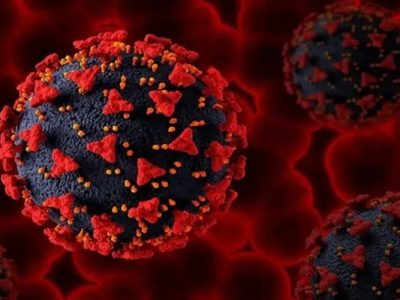 Virus HMPV Meningkat, Kemenkes Imbau Tetap Waspada