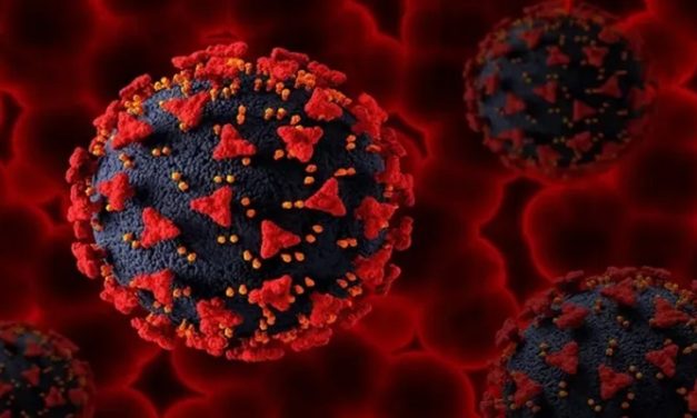 Virus HMPV Meningkat, Kemenkes Imbau Tetap Waspada