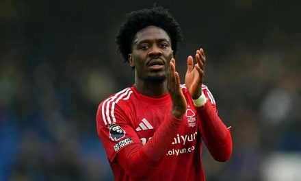 Aksi Ola Aina Memukau Di Forest