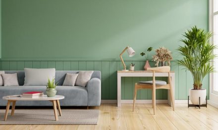 Rekomendasi Warna Dinding Yang Dapat Membawa Energi Positif