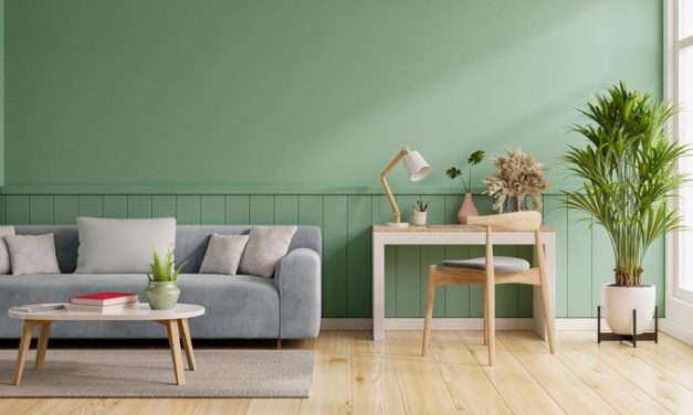 Rekomendasi Warna Dinding Yang Dapat Membawa Energi Positif