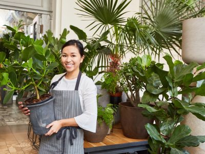 Surga Tanaman Hias Dengan Harga Yang Bikin Geleng Kepala