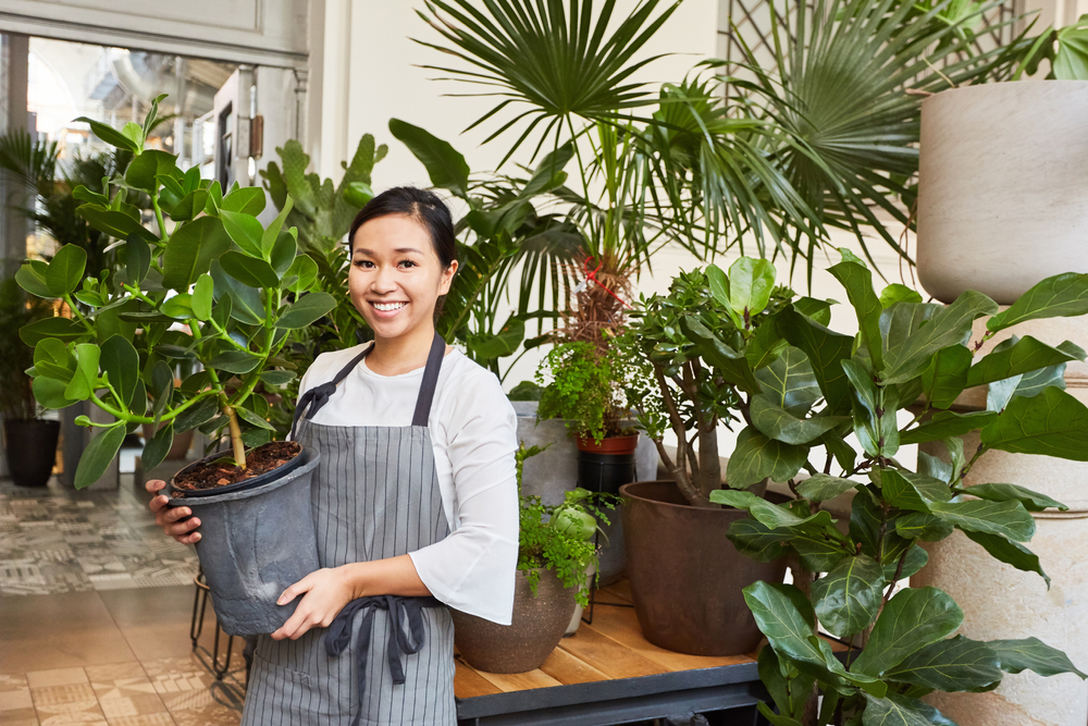 Surga Tanaman Hias Dengan Harga Yang Bikin Geleng Kepala