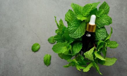 Tanaman Penghilang Bau Mulut Yang Terbukti Efektif