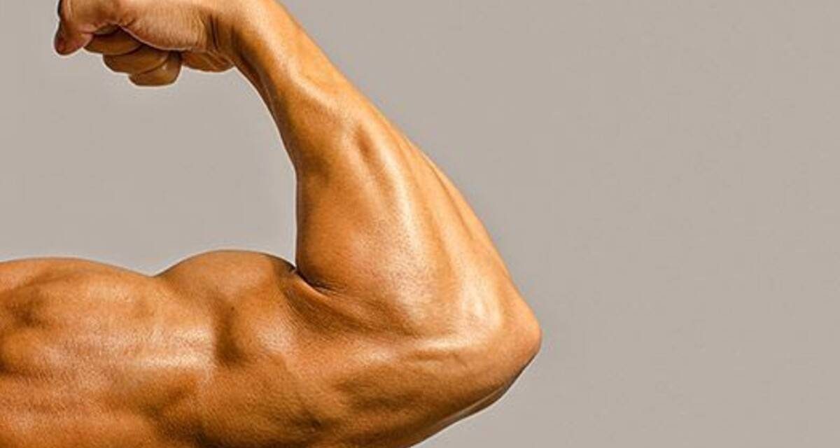 Cara Cepat Membentuk Otot Lengan Dengan Gerakan Mudah