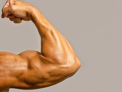 Cara Cepat Membentuk Otot Lengan Dengan Gerakan Mudah