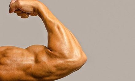 Cara Cepat Membentuk Otot Lengan Dengan Gerakan Mudah