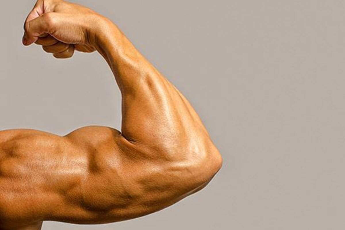 Cara Cepat Membentuk Otot Lengan Dengan Gerakan Mudah