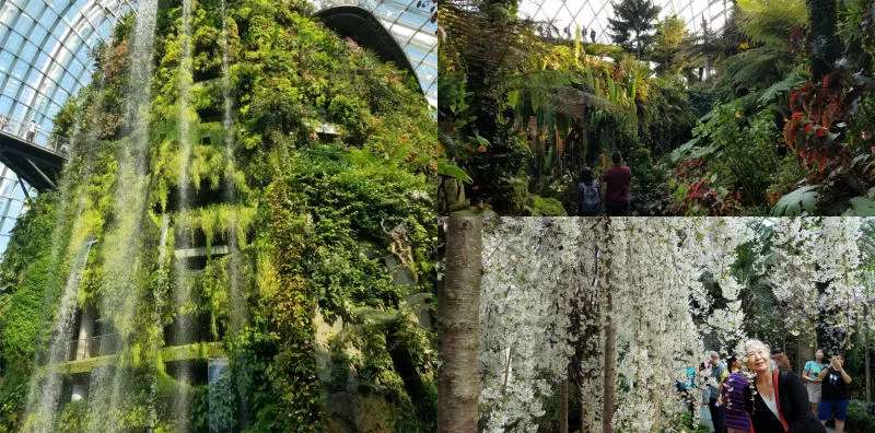 Lanskap Alam Singapura Unik Dan Harus Di Kunjungi Penjelajah