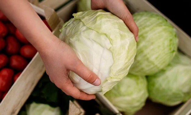 Pantangan Sayuran Bagi Penderita Asam Lambung