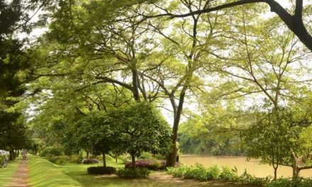 Temukan Oase Hijau Di Bekasi Dengan Taman Kota Yang Menarik
