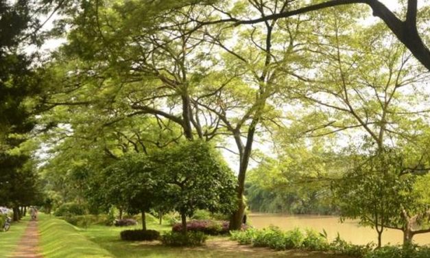 Temukan Oase Hijau Di Bekasi Dengan Taman Kota Yang Menarik