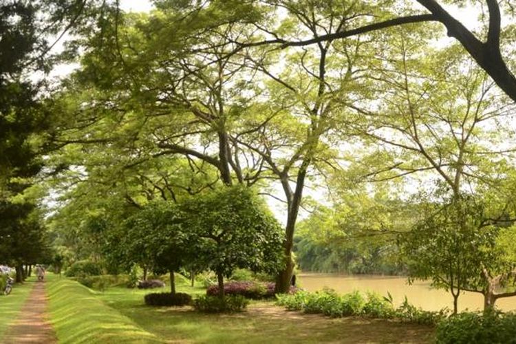 Temukan Oase Hijau Di Bekasi Dengan Taman Kota Yang Menarik