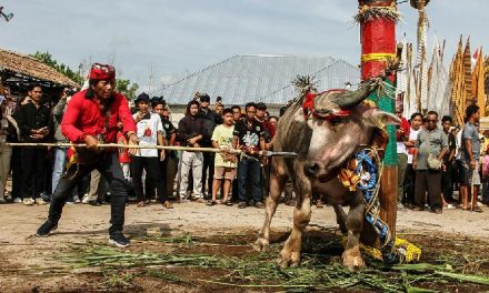 Tradisi Suku Dayak Pada Sebuah Ritual Tiwah