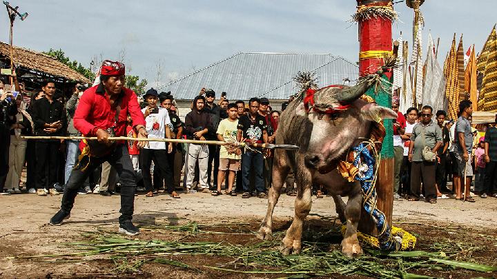 Tradisi Suku Dayak Pada Sebuah Ritual Tiwah