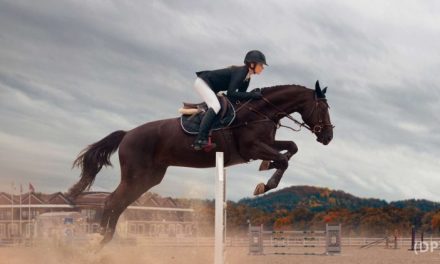 Aktivitas Berkuda Menjadi Sebuah Olahraga Yang Seru