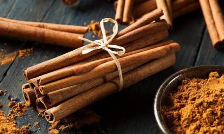 Kayu Manis Bukan Sekadar Bumbu: Ini Fakta Ilmiahnya!