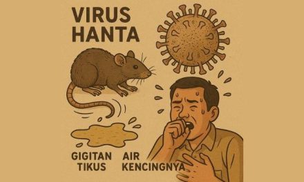 Virus Hanta: Dari Tikus Ke Manusia, Tapi Bukan Antar Manusia