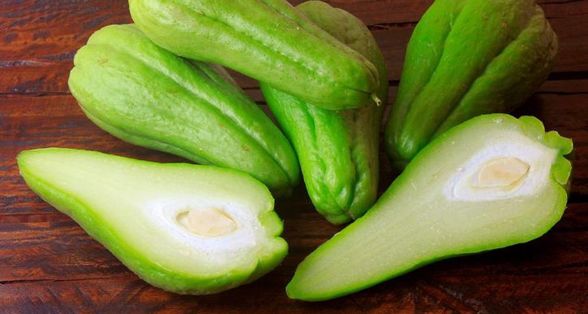 Rahasia Sehat Alami: Manfaat Labu Siam Untuk Tubuh