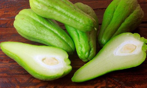 Rahasia Sehat Alami: Manfaat Labu Siam Untuk Tubuh