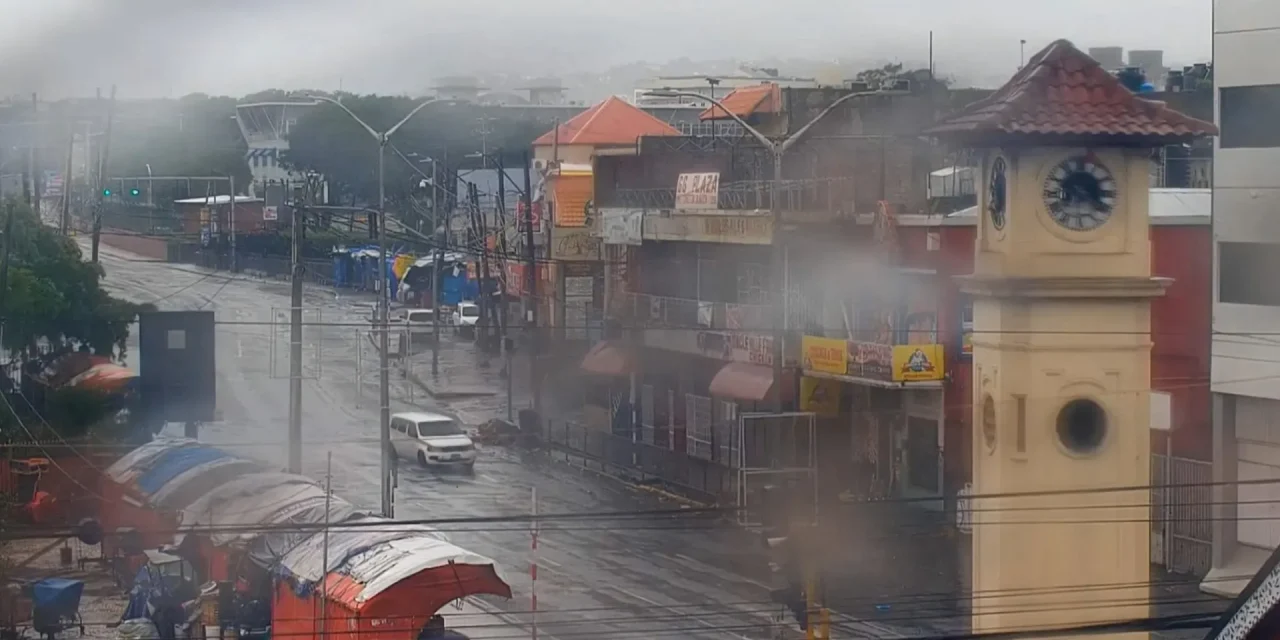 Badai Melissa Bawa Ancaman Baru, Buaya Masuk Permukiman