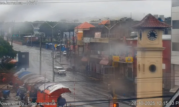 Badai Melissa Bawa Ancaman Baru, Buaya Masuk Permukiman