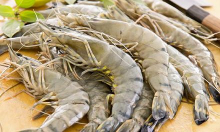 Fakta Gizi Udang: Jaga Berat Badan Hingga Otak Tetap Sehat