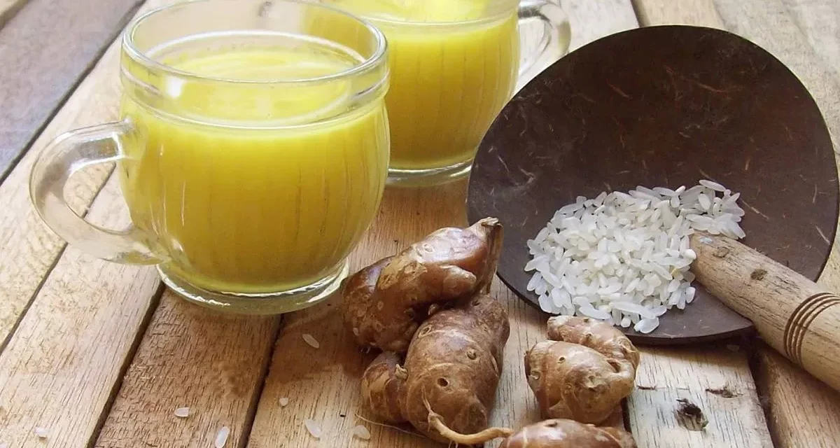 Kencur: Herbal Nusantara Untuk Tubuh Sehat & Imun Tangguh