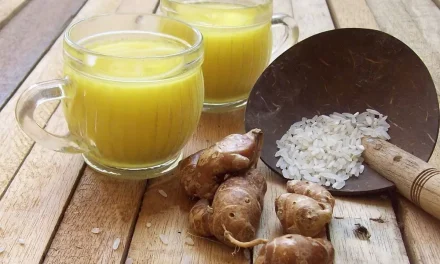 Kencur: Herbal Nusantara Untuk Tubuh Sehat & Imun Tangguh