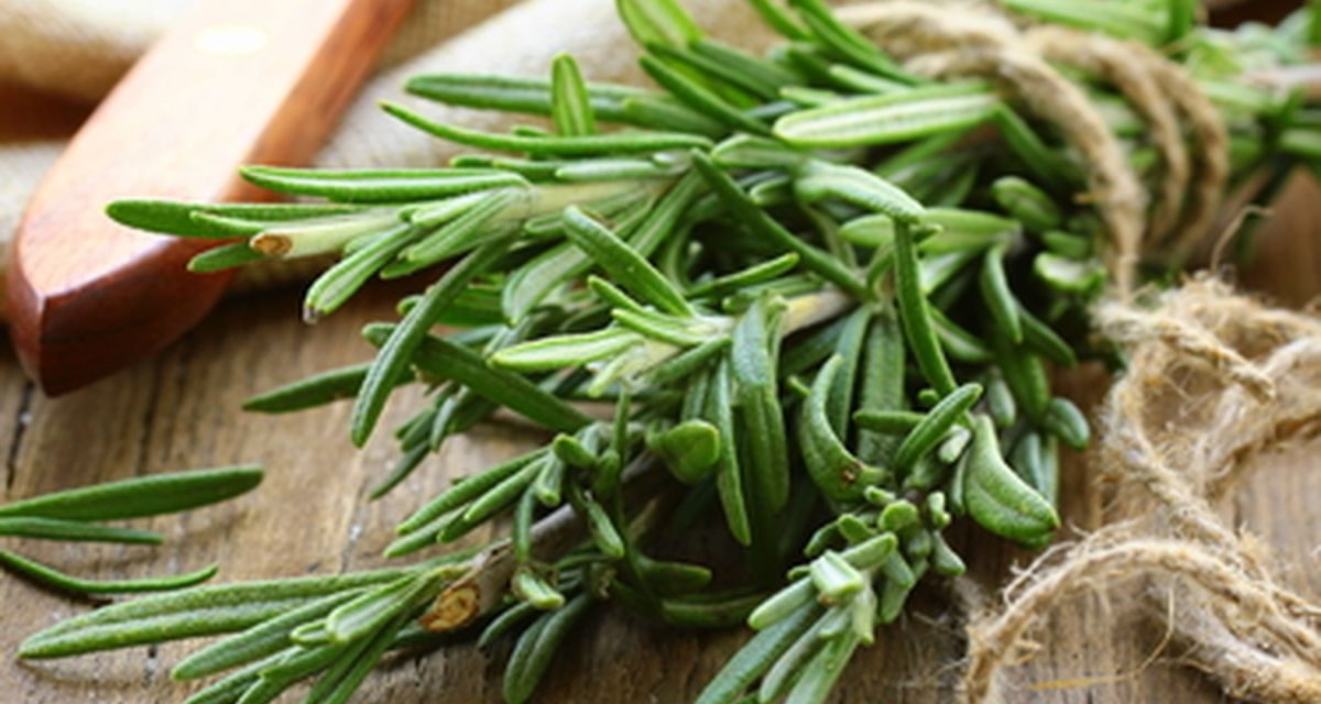 Bukan Sekadar Rasa: Rempah Ini Tingkatkan Metabolisme Tubuh