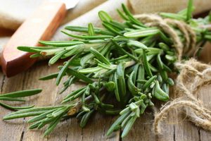 Bukan Sekadar Rasa: Rempah Ini Tingkatkan Metabolisme Tubuh