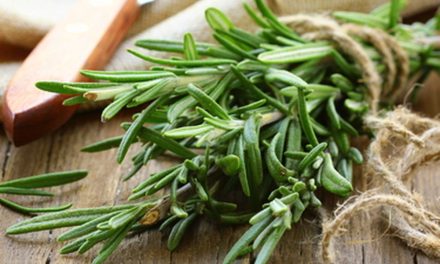 Bukan Sekadar Rasa: Rempah Ini Tingkatkan Metabolisme Tubuh