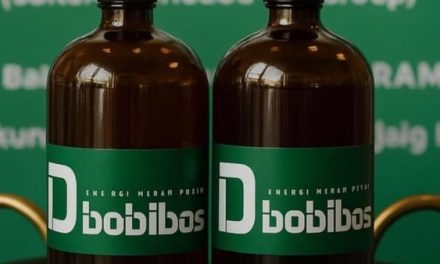 Teknologi BOBIBOS Ungkap Potensi Jerami Sebagai Energi