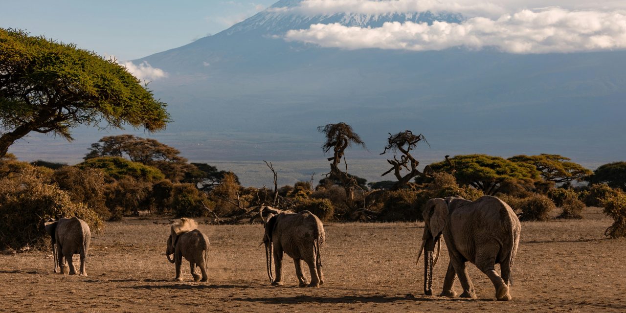 Kilimanjaro: Atap Afrika dan Keajaiban di Atas Awan