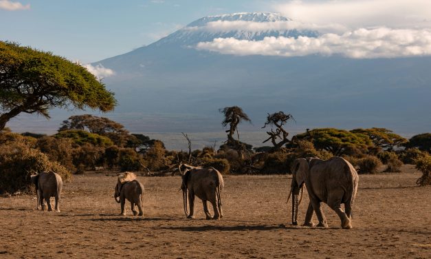 Kilimanjaro: Atap Afrika dan Keajaiban di Atas Awan