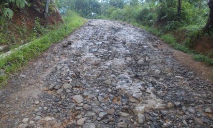 Anti Jebol! Trik Bawa Mobil Matic Di Jalan Berbatu