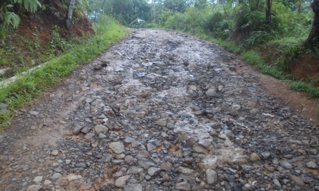 Anti Jebol! Trik Bawa Mobil Matic Di Jalan Berbatu