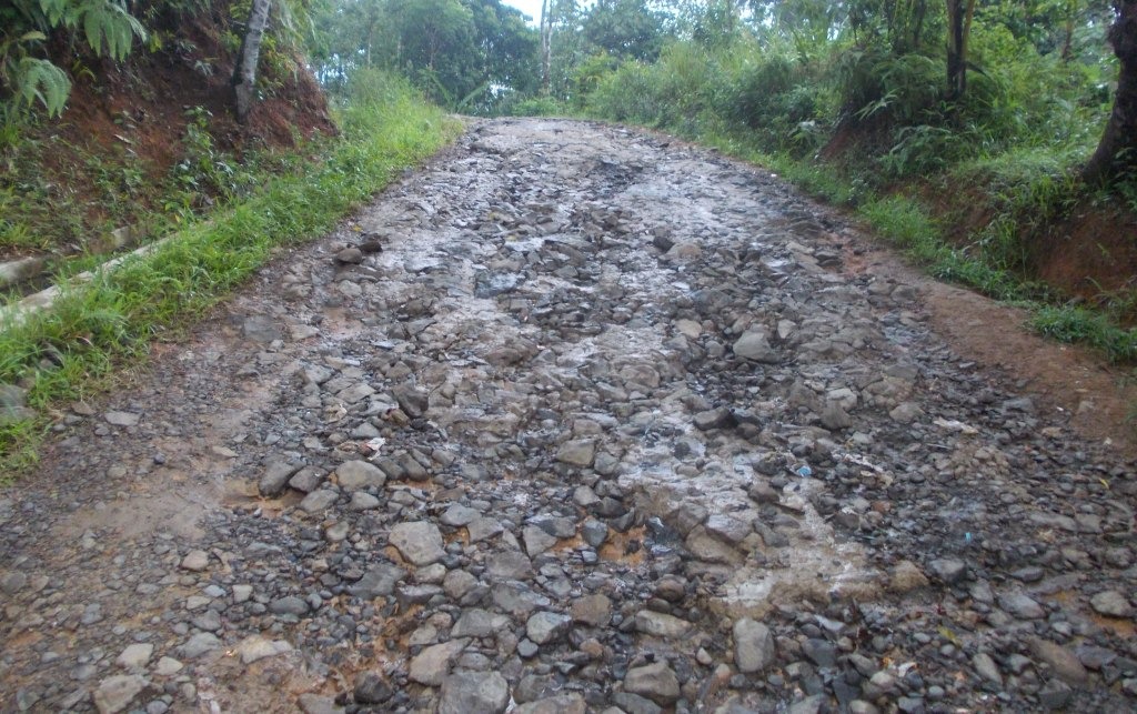 Anti Jebol! Trik Bawa Mobil Matic Di Jalan Berbatu