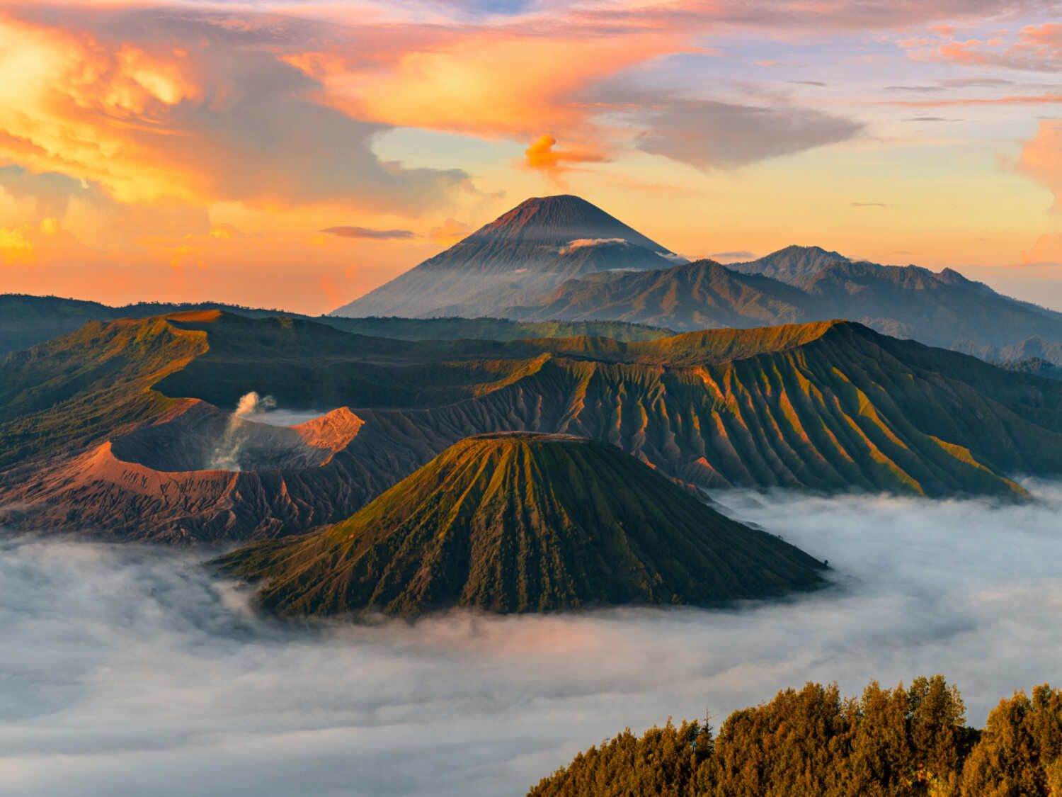 Gak Cuma Adem! Ini Manfaat Nyata Liburan Ke Alam