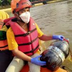 1.500 Ecoenzym Ke Cisadane, Ini Kata Ahli