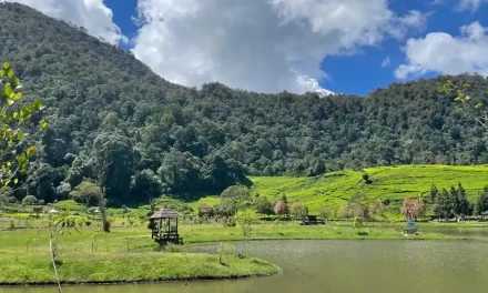5 Rekomendasi Wisata Adem Di Bogor Saat Imlek