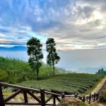 Wajib Visit! Ini Spot Wisata Paling Hits Di Lampung