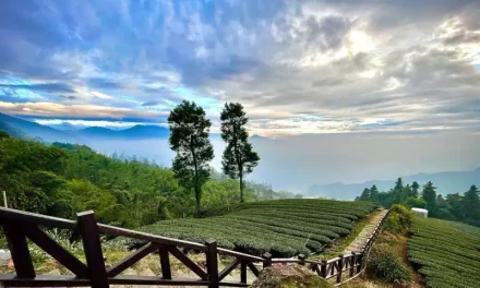 Wajib Visit! Ini Spot Wisata Paling Hits Di Lampung