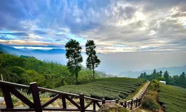 Wajib Visit! Ini Spot Wisata Paling Hits Di Lampung