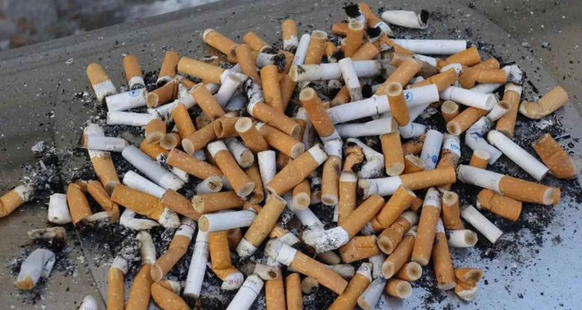 3 Bahaya Nyata Buang Puntung Rokok Sembarangan
